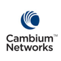 Cambium