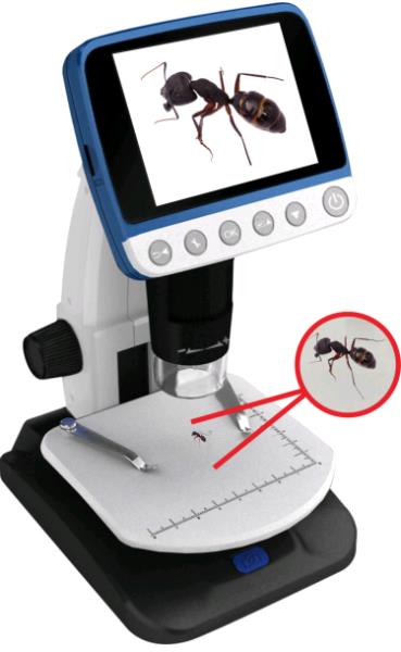 Reflecta DigiMicroscope Professional 500x Digital microscope thumbnail
