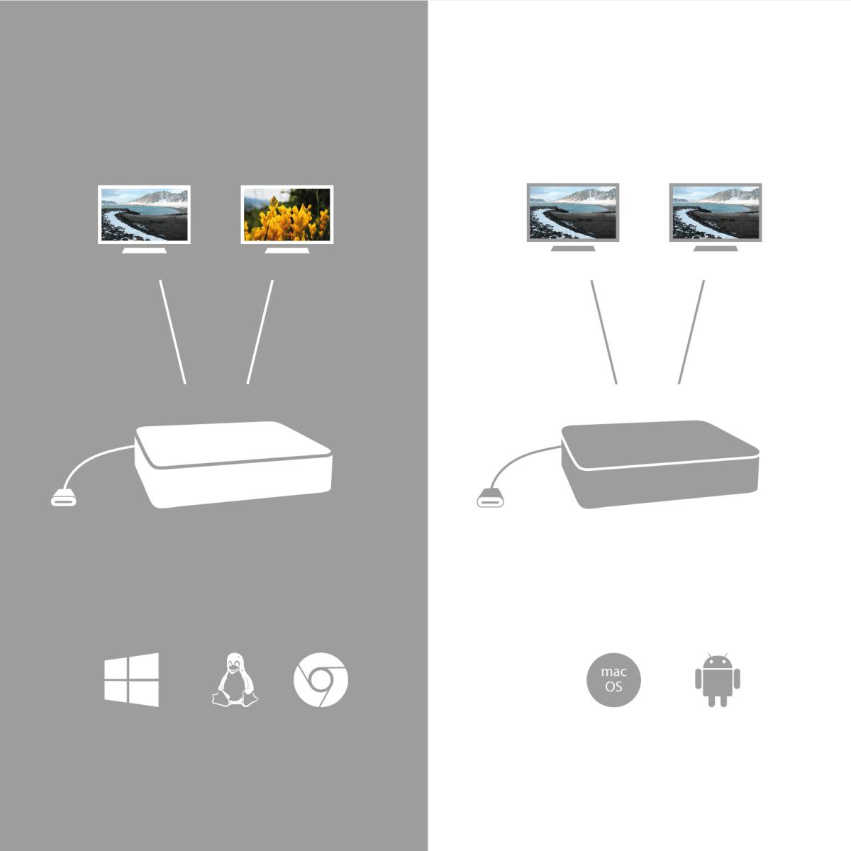 USB-C to Dual Display Port Ada C31DUAL4KDP thumbnail
