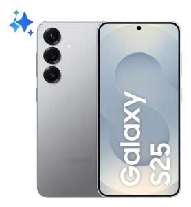 S25 5G S931/DS SILVER SHADOW 12/512GB