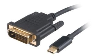 Akasa Typ C Adapter Kabel auf DVI - schwarz - Adapter - Digital