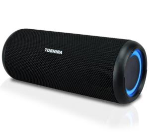 Toshiba TY-WSP201 portable speaker Bluetooth Black - Speaker